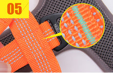 Load image into Gallery viewer, Truelove Tactical Control Padded Dog Harness