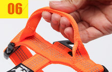 Load image into Gallery viewer, Truelove Tactical Control Padded Dog Harness