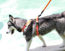 Load image into Gallery viewer, Truelove Tactical Control Padded Dog Harness