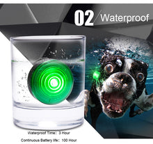 Load image into Gallery viewer, Truelove Pet Safety Flashing Dog Led