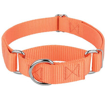 Load image into Gallery viewer, Martingale Dog Collar