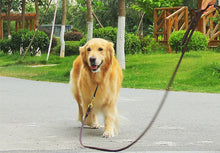 Load image into Gallery viewer, Genuine Leather Dog Leash