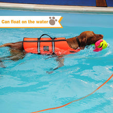 Load image into Gallery viewer, Floating Long Lead Rope: Benepaw