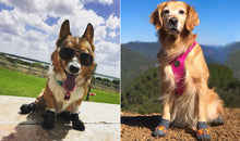 Load image into Gallery viewer, Truelove Waterproof Dog Shoes
