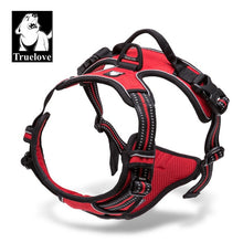 Load image into Gallery viewer, Truelove Front Range Reflective Dog Harness