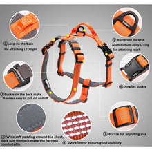 Load image into Gallery viewer, Truelove Padded Dog Body Harness