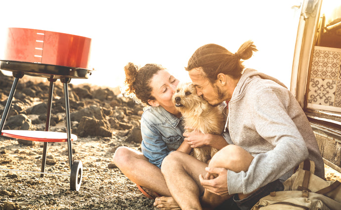 Our Top 5 Dog-friendly Beach Campgrounds in Canada