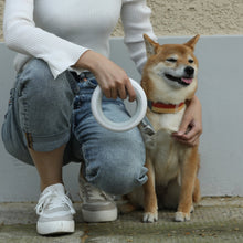 Load image into Gallery viewer, Instachew petkit Smart Space Leash
