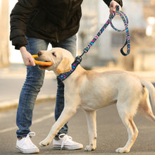 Load image into Gallery viewer, Spring Dog Collar &amp; Leash Set
