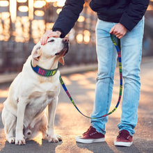 Load image into Gallery viewer, Spring Dog Collar &amp; Leash Set

