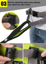 Load image into Gallery viewer, Truelove Multifunctional Waist Bag
