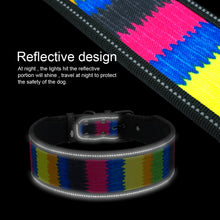 Load image into Gallery viewer, Spring Dog Collar &amp; Leash Set
