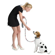 Load image into Gallery viewer, Spring Dog Collar &amp; Leash Set
