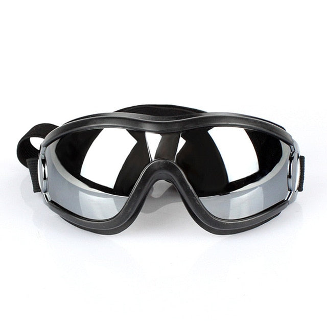 Doggles: Benepaw