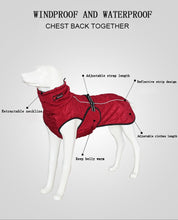Load image into Gallery viewer, Waterproof Outdoor Dog Jacket
