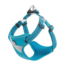 Load image into Gallery viewer, Truelove Adjustable Easy on Dog Harness
