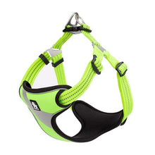 Load image into Gallery viewer, Truelove Adjustable Easy on Dog Harness
