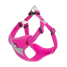Load image into Gallery viewer, Truelove Adjustable Easy on Dog Harness
