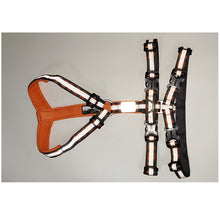 Load image into Gallery viewer, Truelove Best Double H Trail Runner No-Pull Dog Harness

