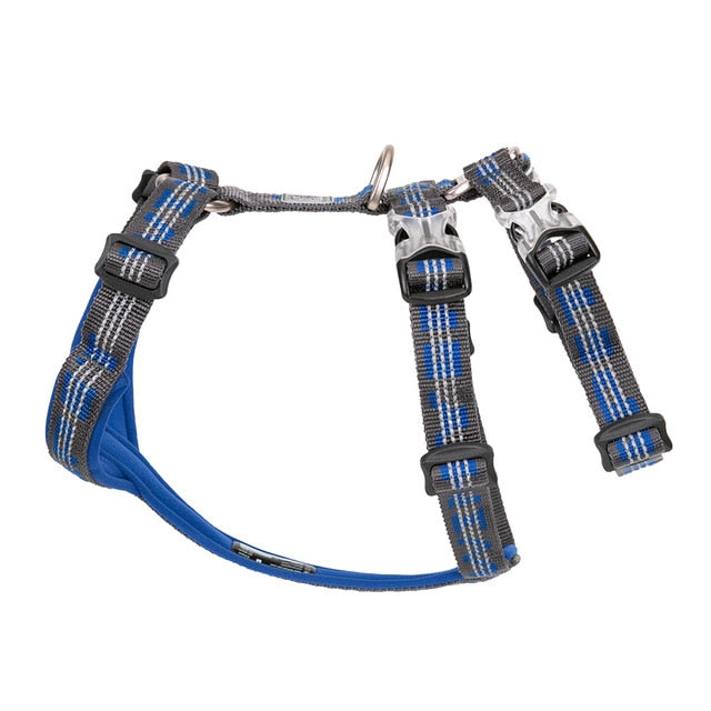 Truelove Best Double H Trail Runner No-Pull Dog Harness