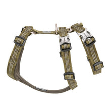 Load image into Gallery viewer, Truelove Best Double H Trail Runner No-Pull Dog Harness
