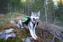 Load image into Gallery viewer, Truelove 2-in-1 Adventure Backpack-Harness
