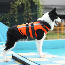 Load image into Gallery viewer, Dog Life Jacket

