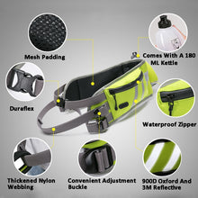 Load image into Gallery viewer, Truelove Multifunctional Waist Bag
