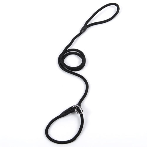 HOOPET Slip Lead