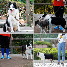 Load image into Gallery viewer, Genuine Leather Dog Leash: Benepaw
