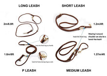 Load image into Gallery viewer, Genuine Leather Dog Leash: Benepaw

