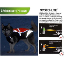 Load image into Gallery viewer, Truelove Waterproof Dog Winter Coat
