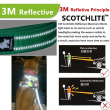 Load image into Gallery viewer, Truelove Reflective Body Dog Harness

