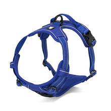 Load image into Gallery viewer, Truelove Reflective Body Dog Harness
