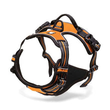 Load image into Gallery viewer, Truelove Reflective Body Dog Harness
