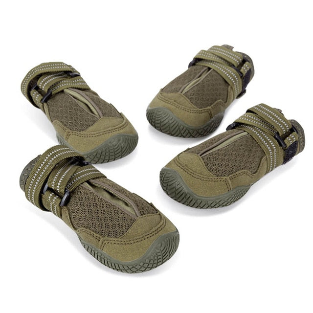 Truelove Rubber Dogs Shoe