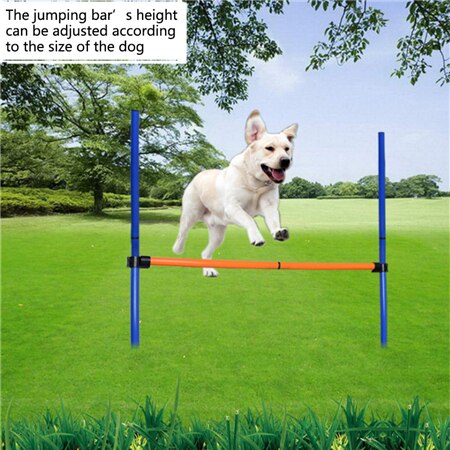 Outdoors Agility Hurdle: Dog Training Equipment