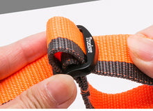 Load image into Gallery viewer, Truelove Dog Collar
