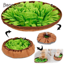 Load image into Gallery viewer, Dog Snuffle Mat: Benepaw
