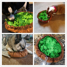 Load image into Gallery viewer, Dog Snuffle Mat: Benepaw
