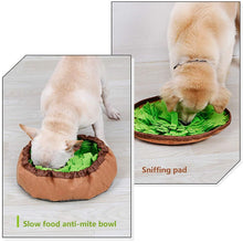 Load image into Gallery viewer, Dog Snuffle Mat: Benepaw
