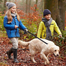 Load image into Gallery viewer, Reflective Dog Leash with Traffic Handle
