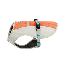 Load image into Gallery viewer, Dog Summer Cooling Vest
