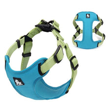 Load image into Gallery viewer, Truelove Padded dog vest
