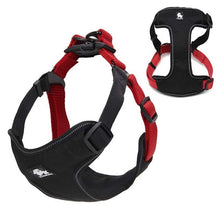 Load image into Gallery viewer, Truelove Padded dog vest

