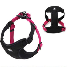 Load image into Gallery viewer, Truelove Padded dog vest
