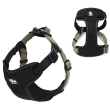 Load image into Gallery viewer, Truelove Padded dog vest
