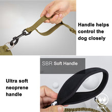 Load image into Gallery viewer, Truelove Bungee Dog Leash
