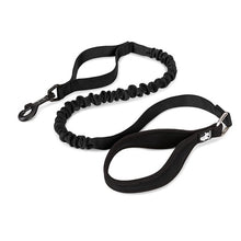 Load image into Gallery viewer, Truelove Bungee Dog Leash
