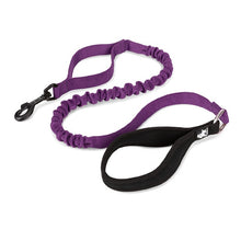 Load image into Gallery viewer, Truelove Bungee Dog Leash
